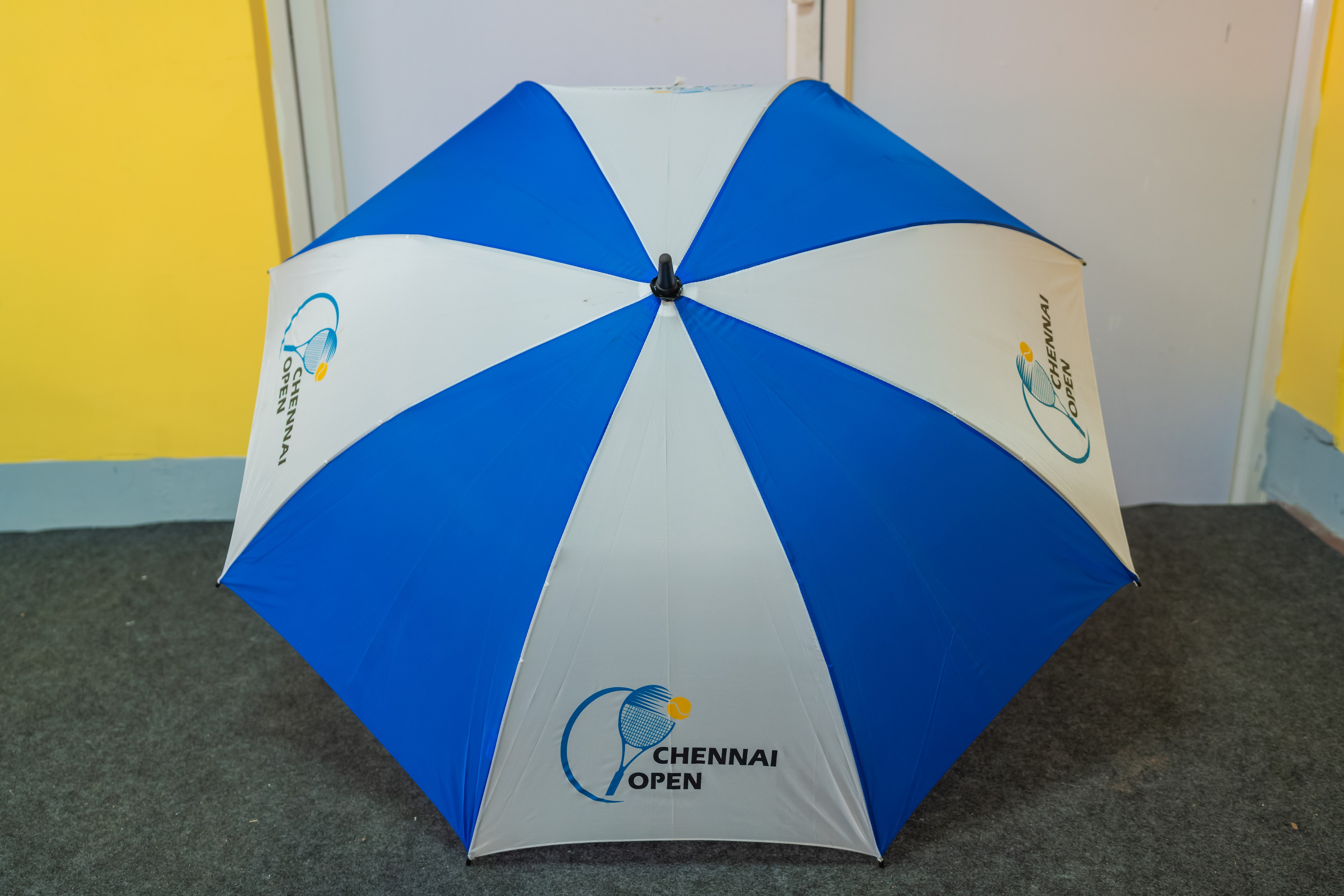 Umbrella - Image 1